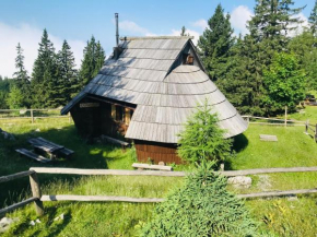 Hotels in Kamnik